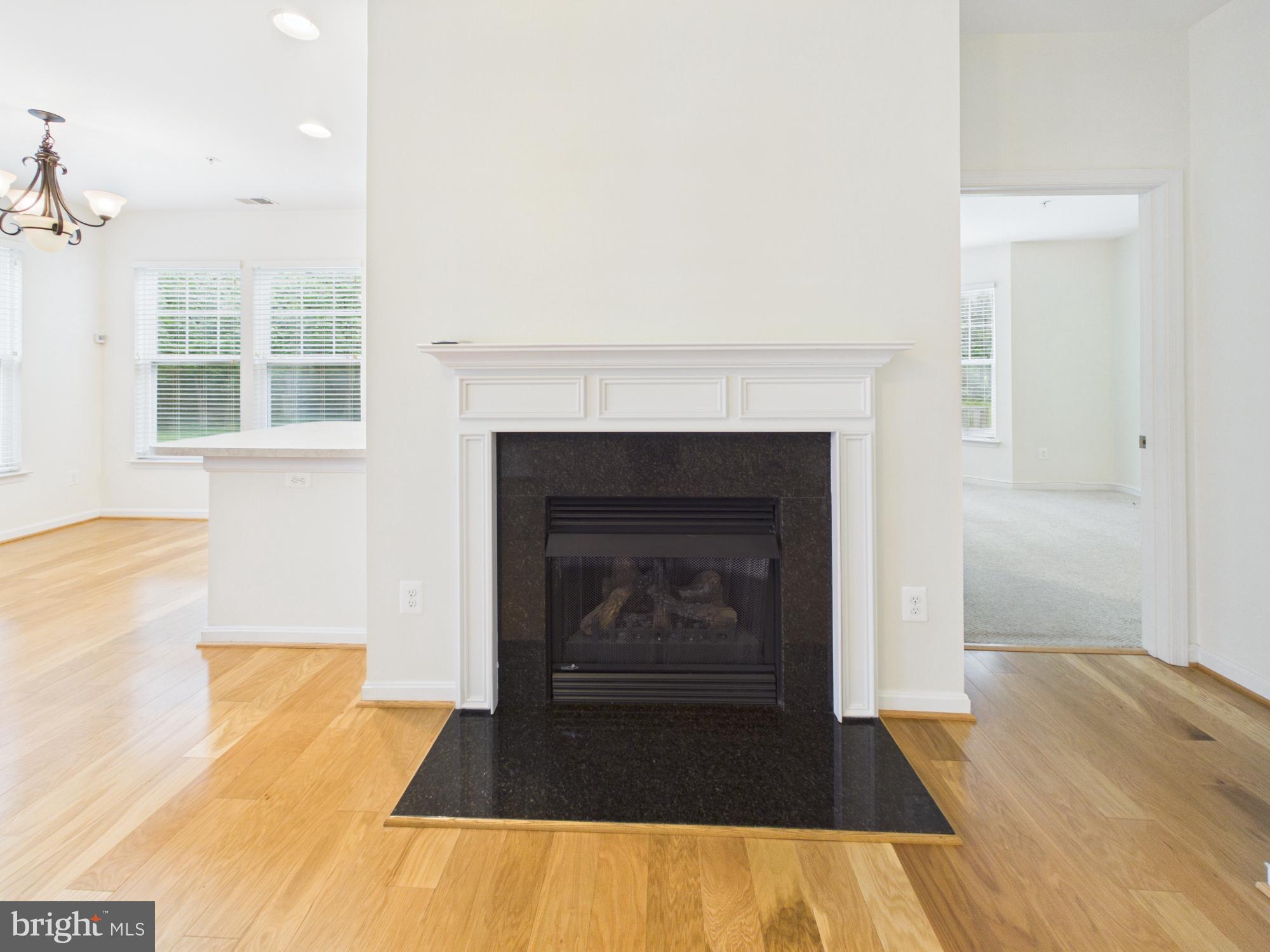 3527 PINEY WOODS PLACE H002