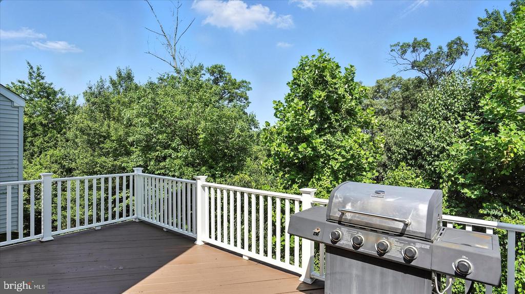 28 BUTTONWOOD COURT