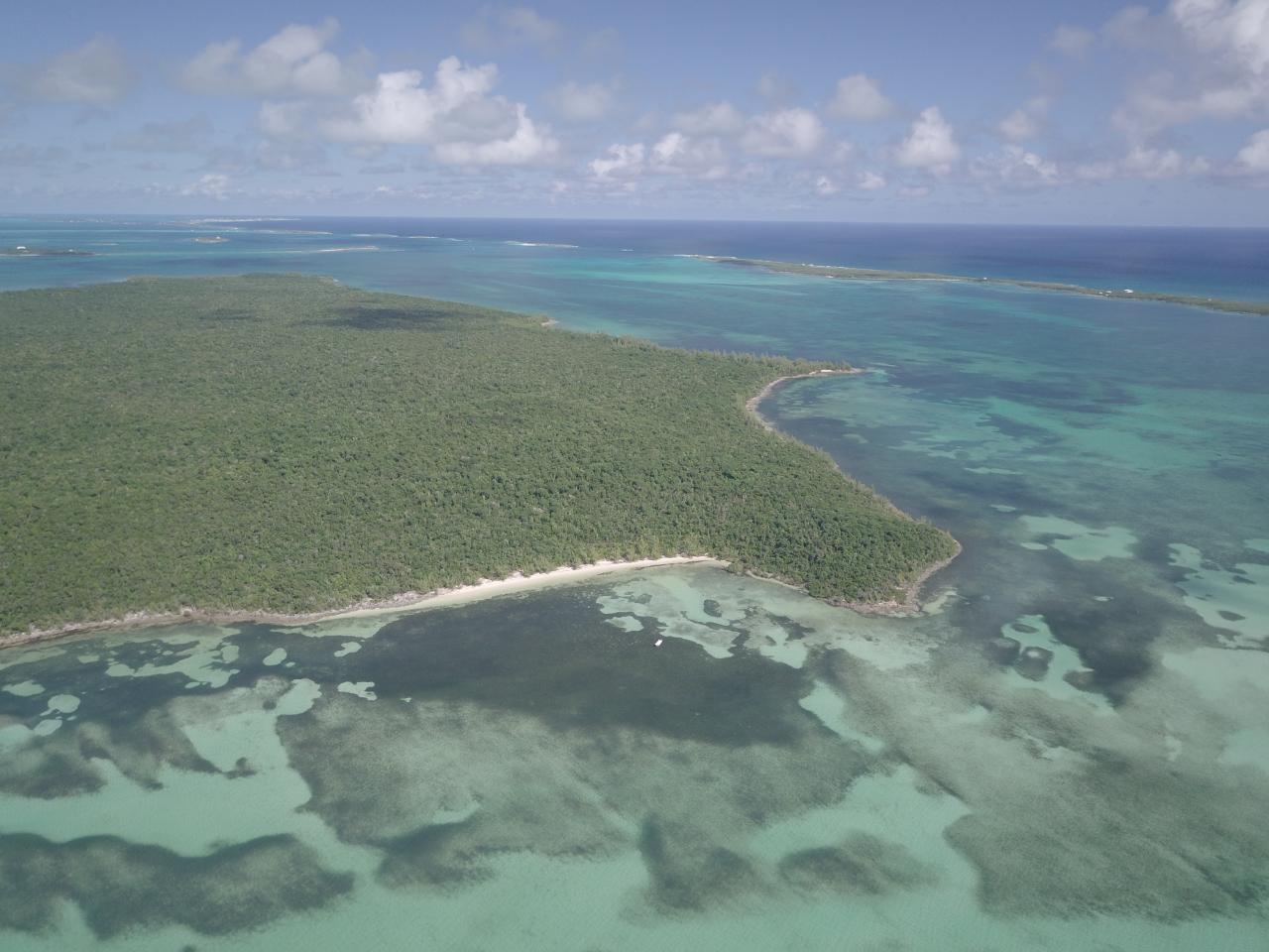 Abaco ACREAGE Unit: Abaco
