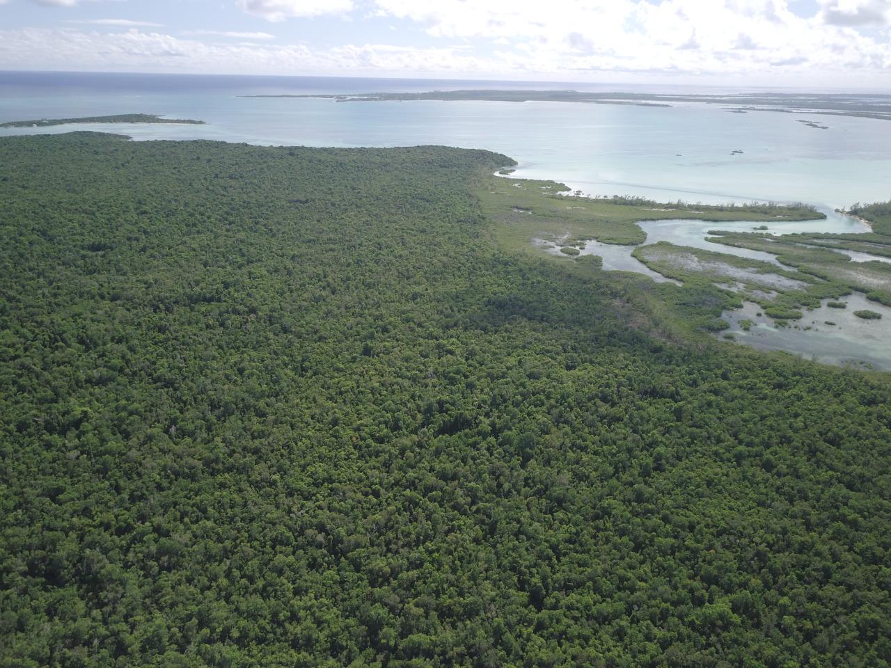 Abaco ACREAGE Unit: Abaco