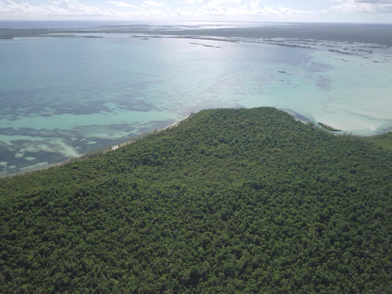 Abaco ACREAGE Unit: Abaco