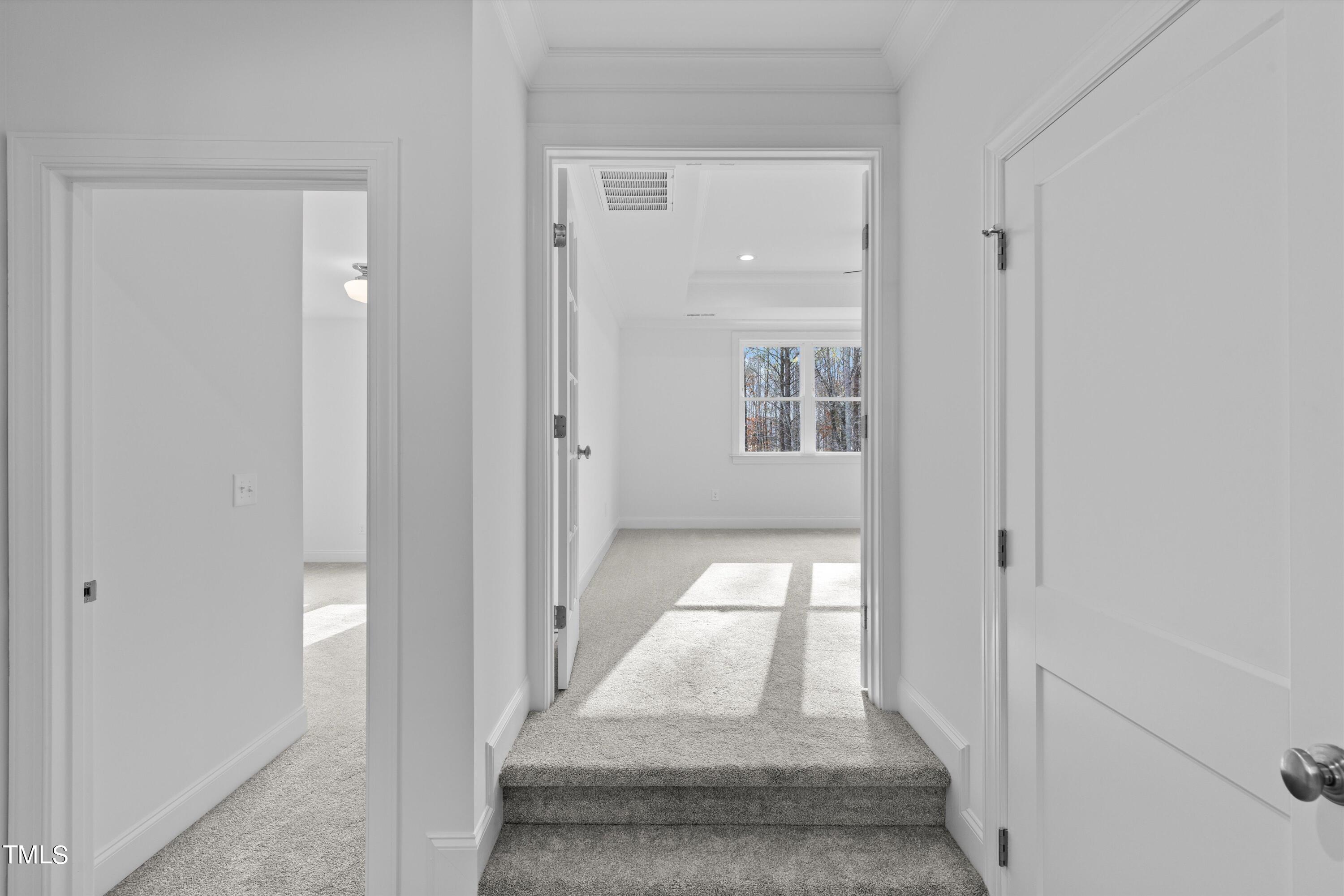 222 Blue Monarch Lane