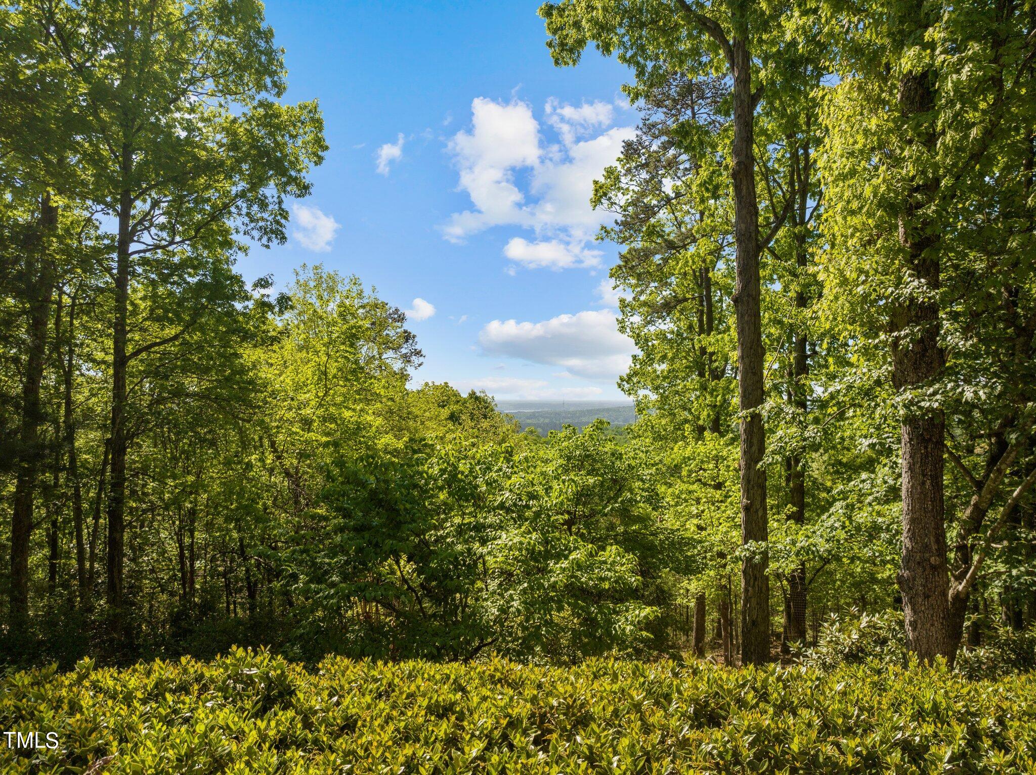 32533 Archdale