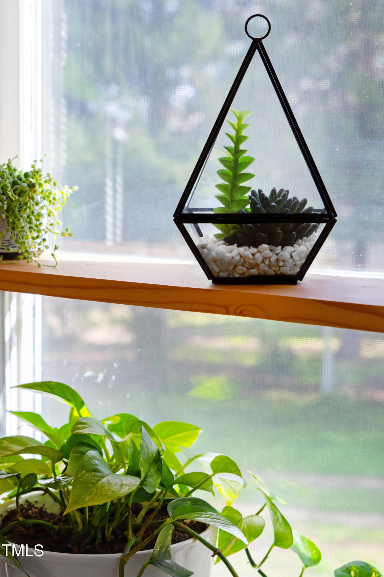 9636 St. Johns Church Road