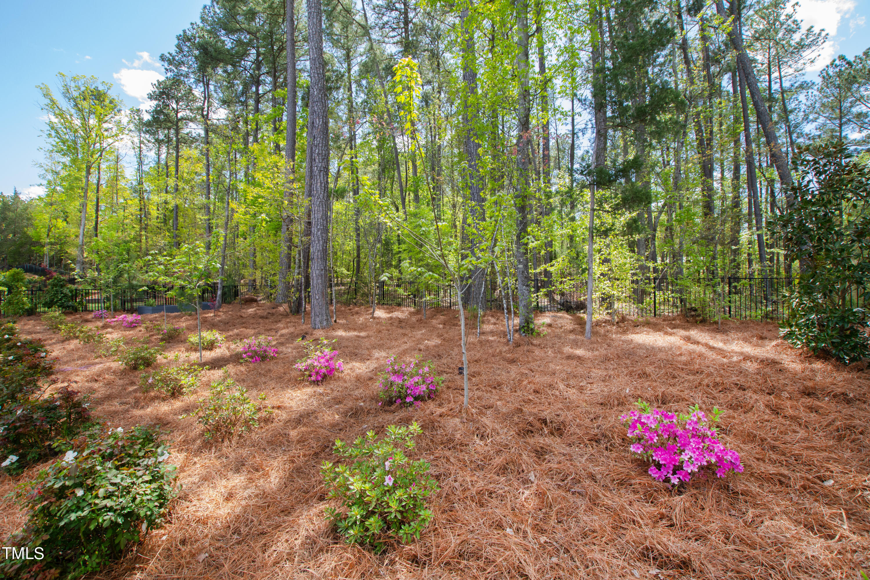 1233 Montvale Ridge Drive