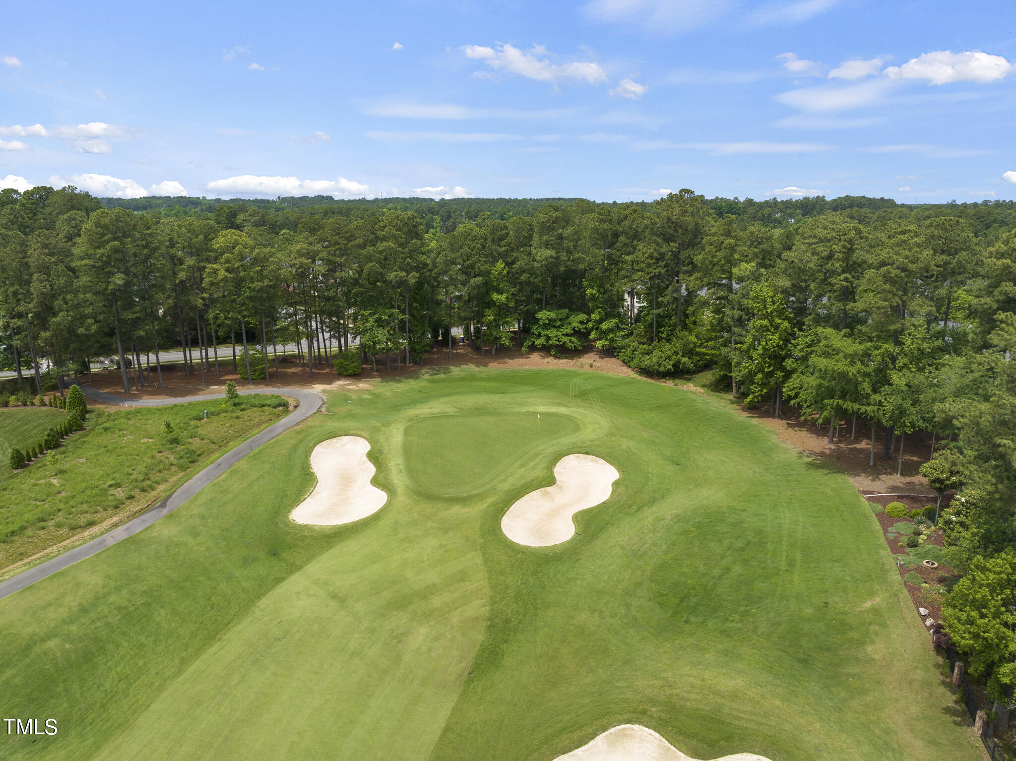 9216 Winged Thistle Court