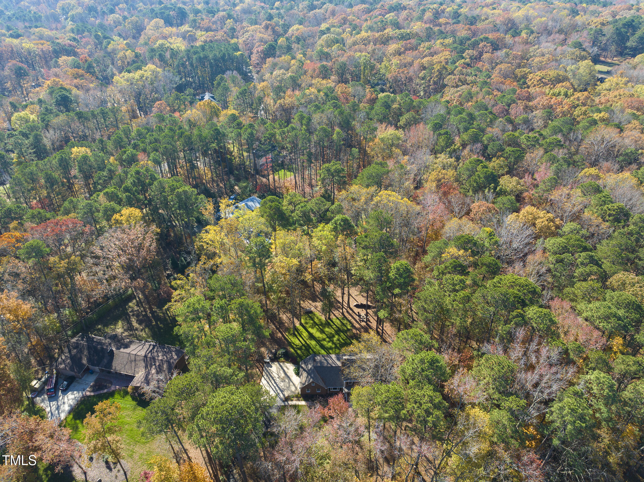 8009 Hollander Place