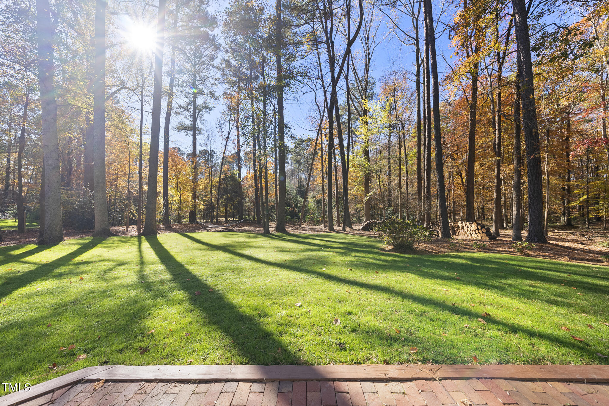 8009 Hollander Place