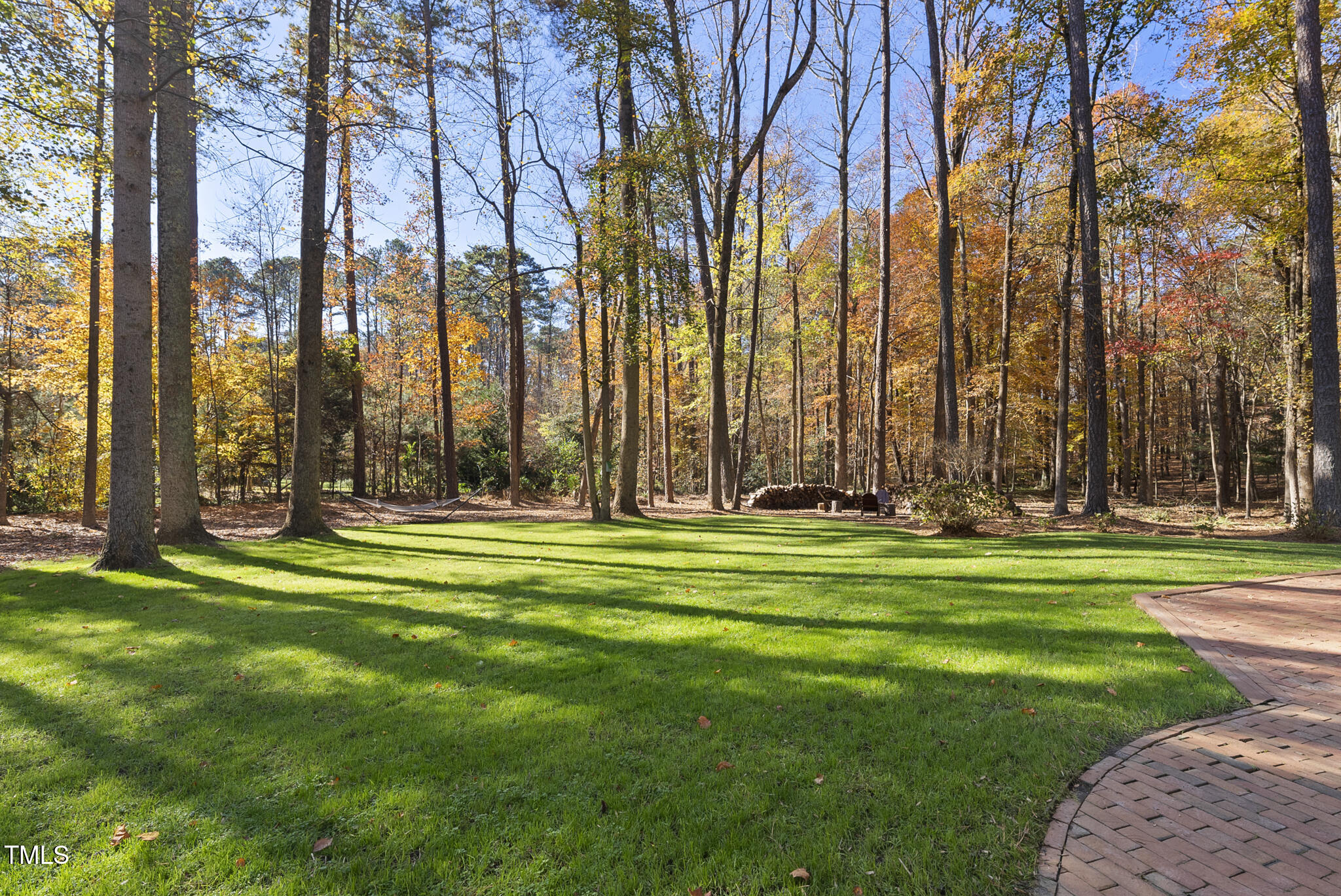 8009 Hollander Place