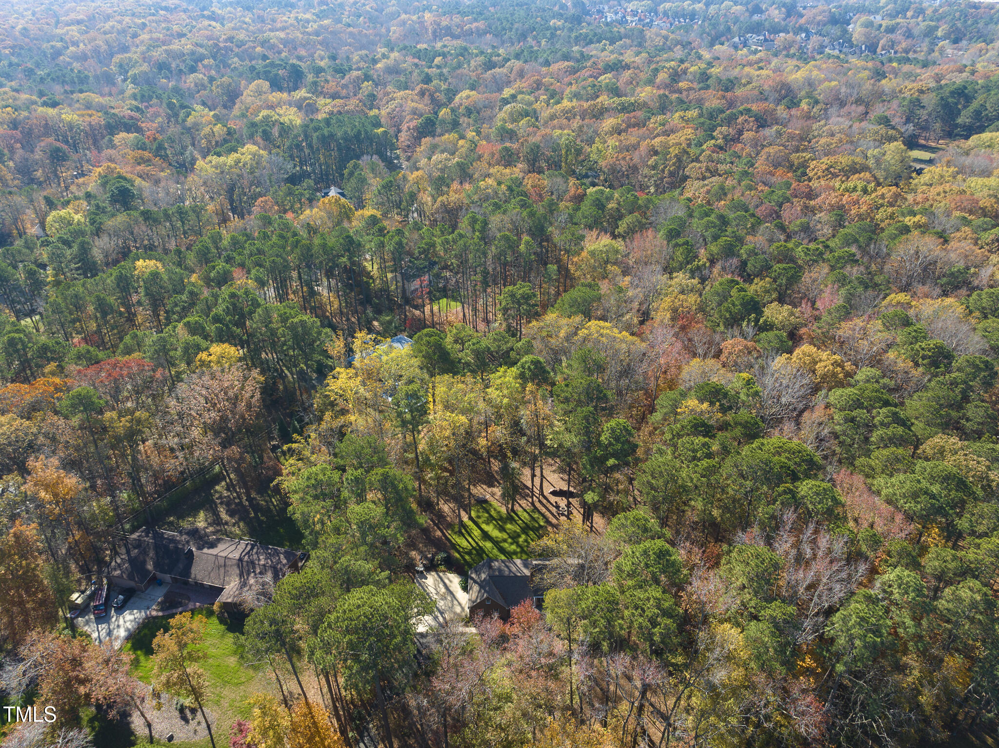 8009 Hollander Place