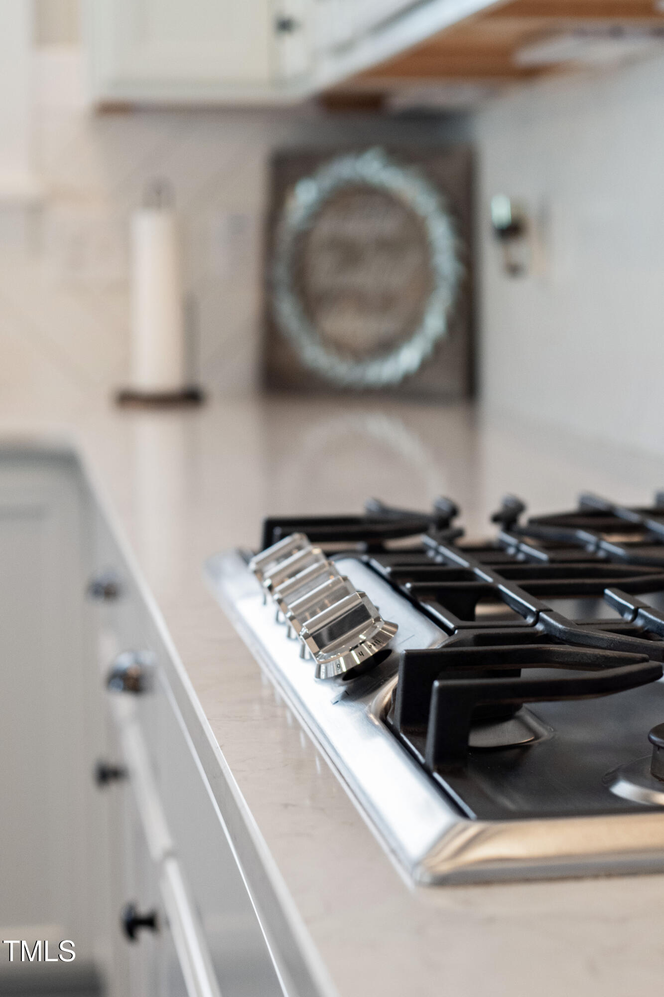 132 Palmer Point Way