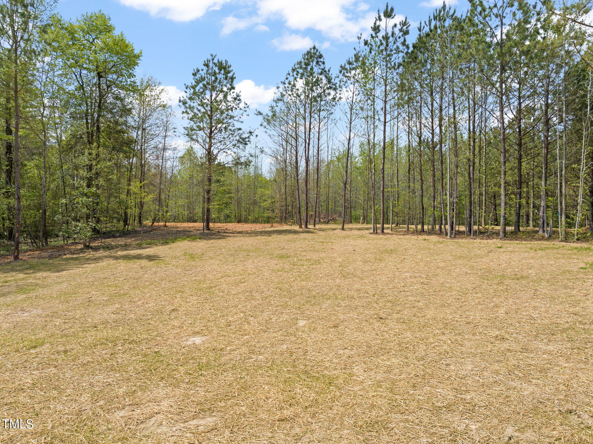 250 Pilot Ridge Road
