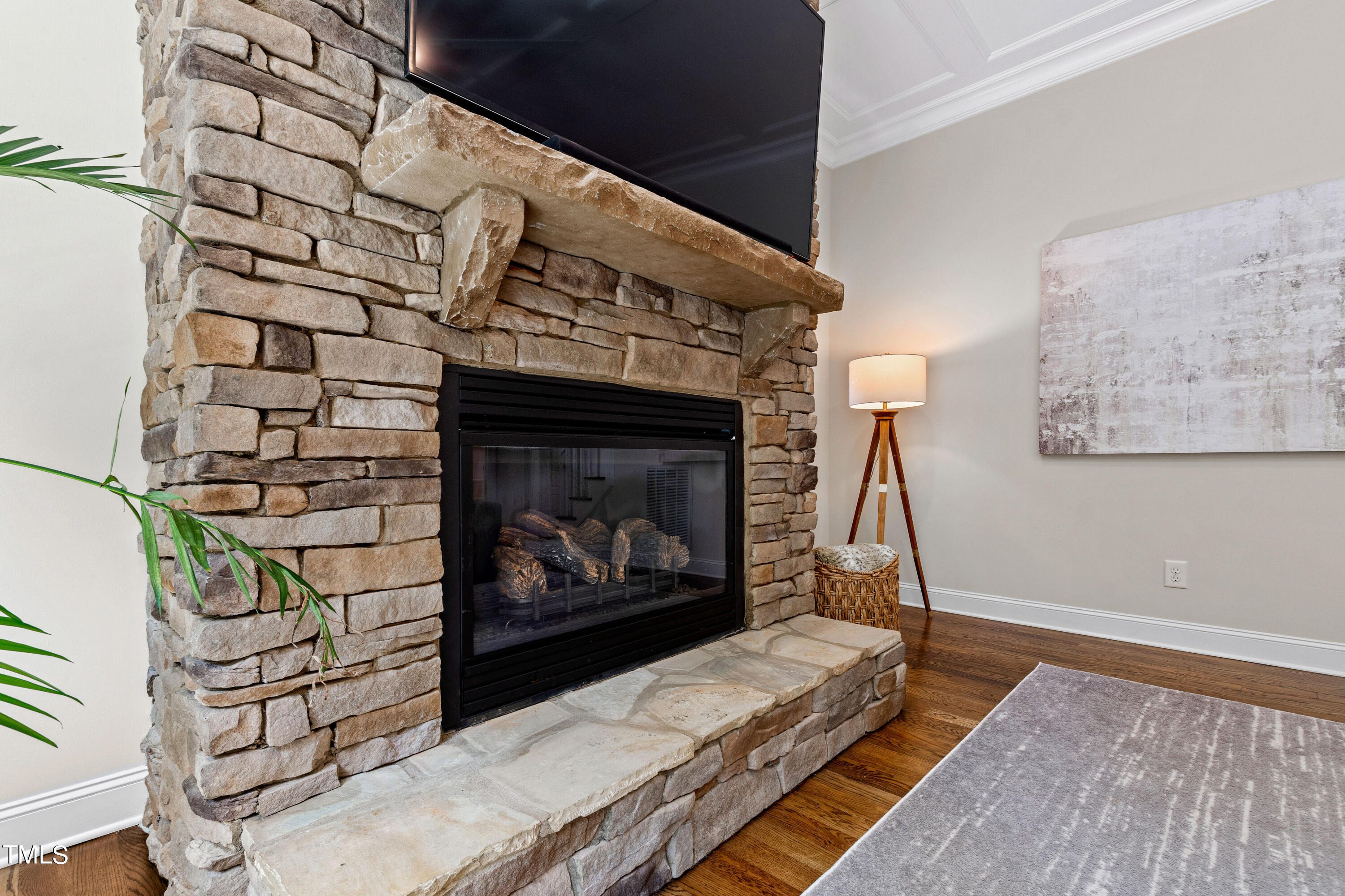 3209 Bryant Falls Court