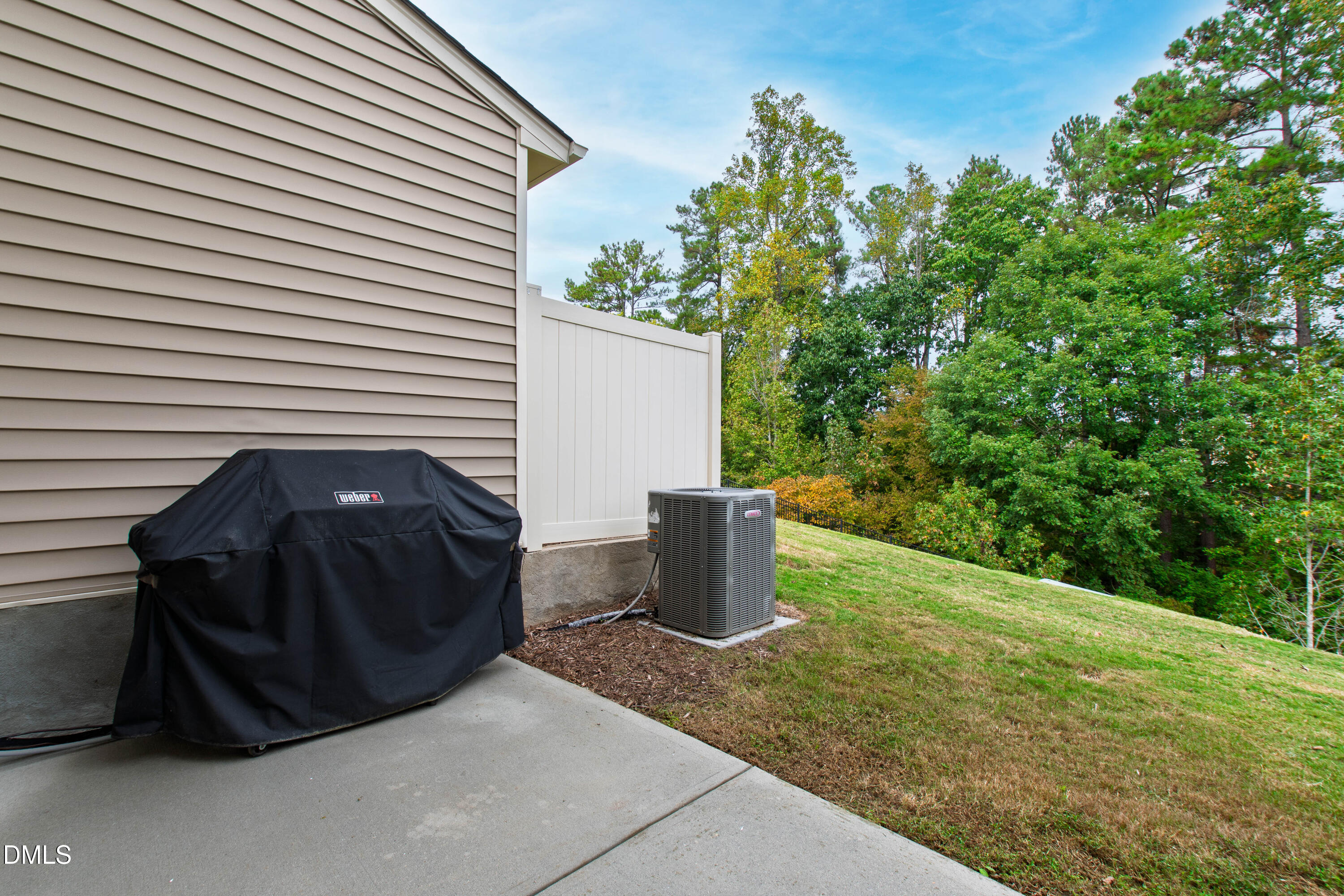 6246 Pesta Court, Raleigh