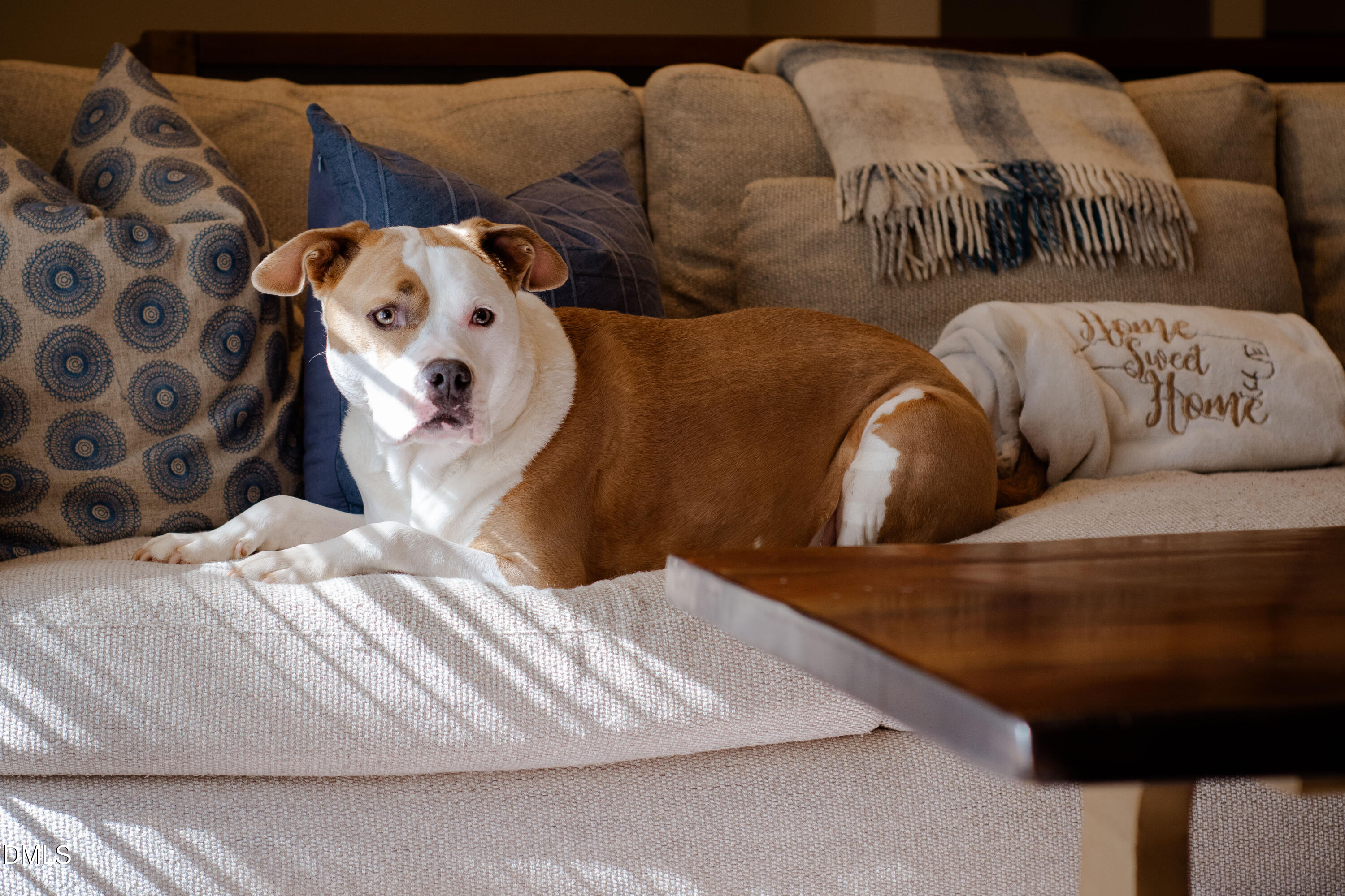 408 Troy Place, Raleigh