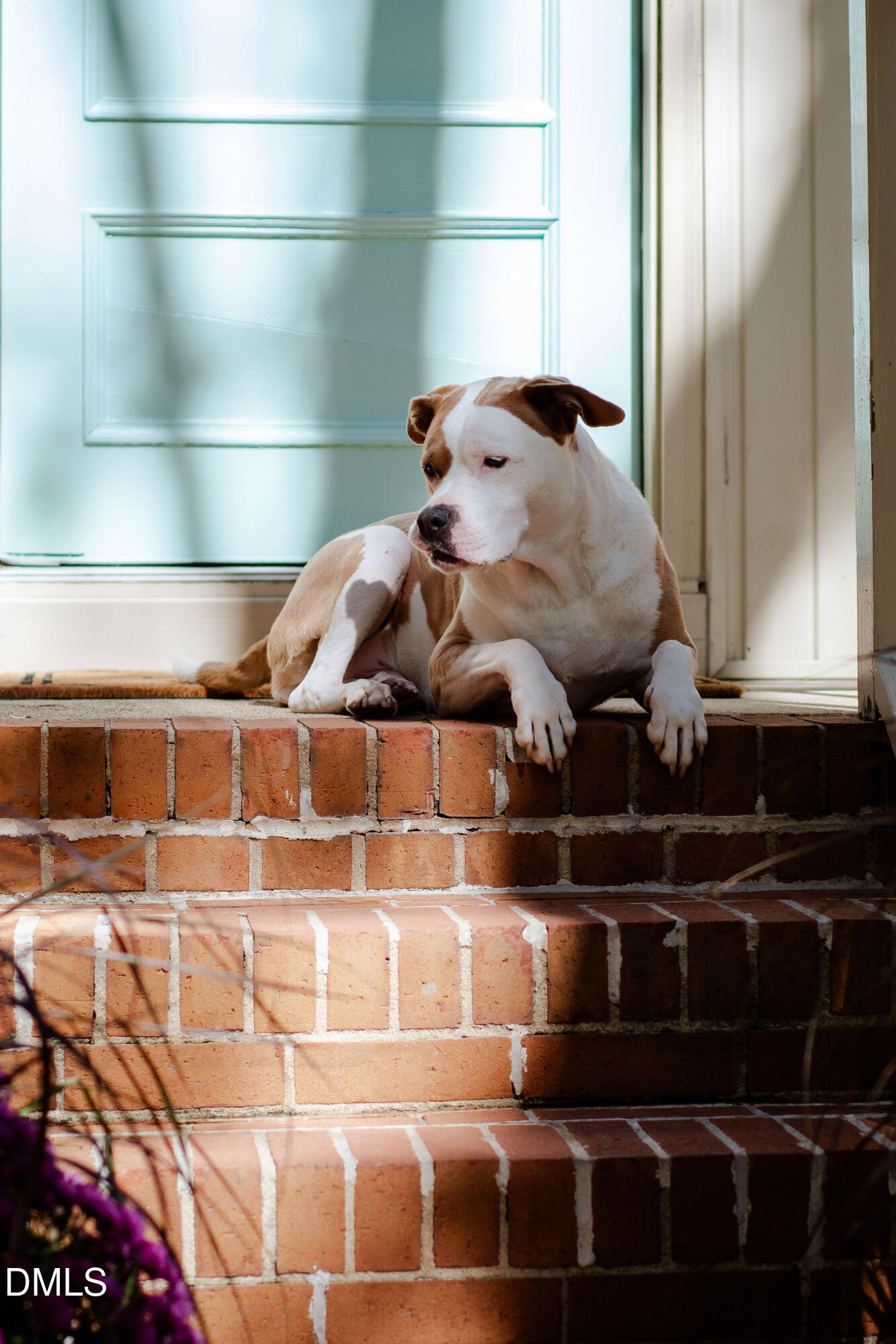 408 Troy Place, Raleigh