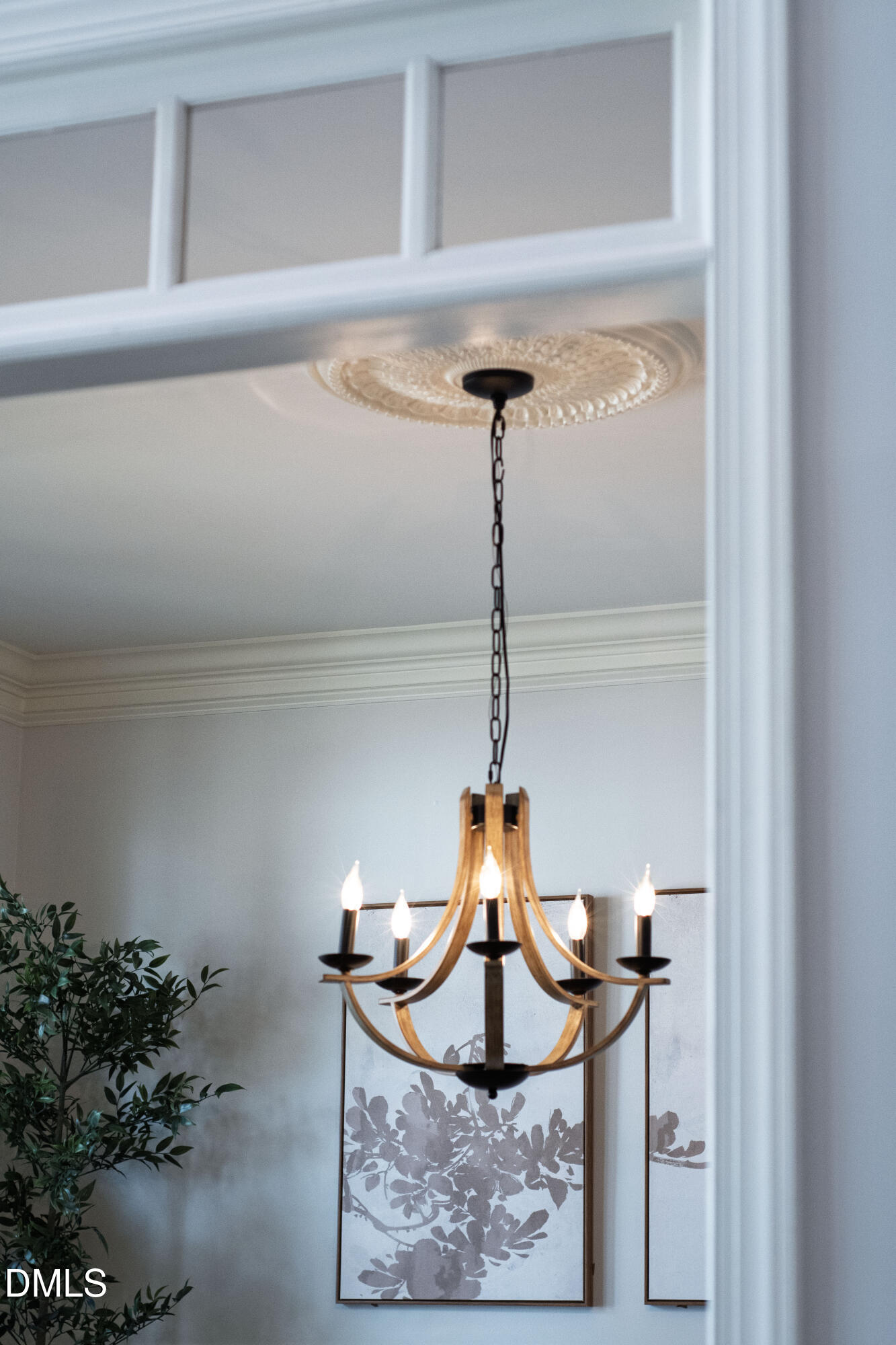 612 Peach Orchard Place