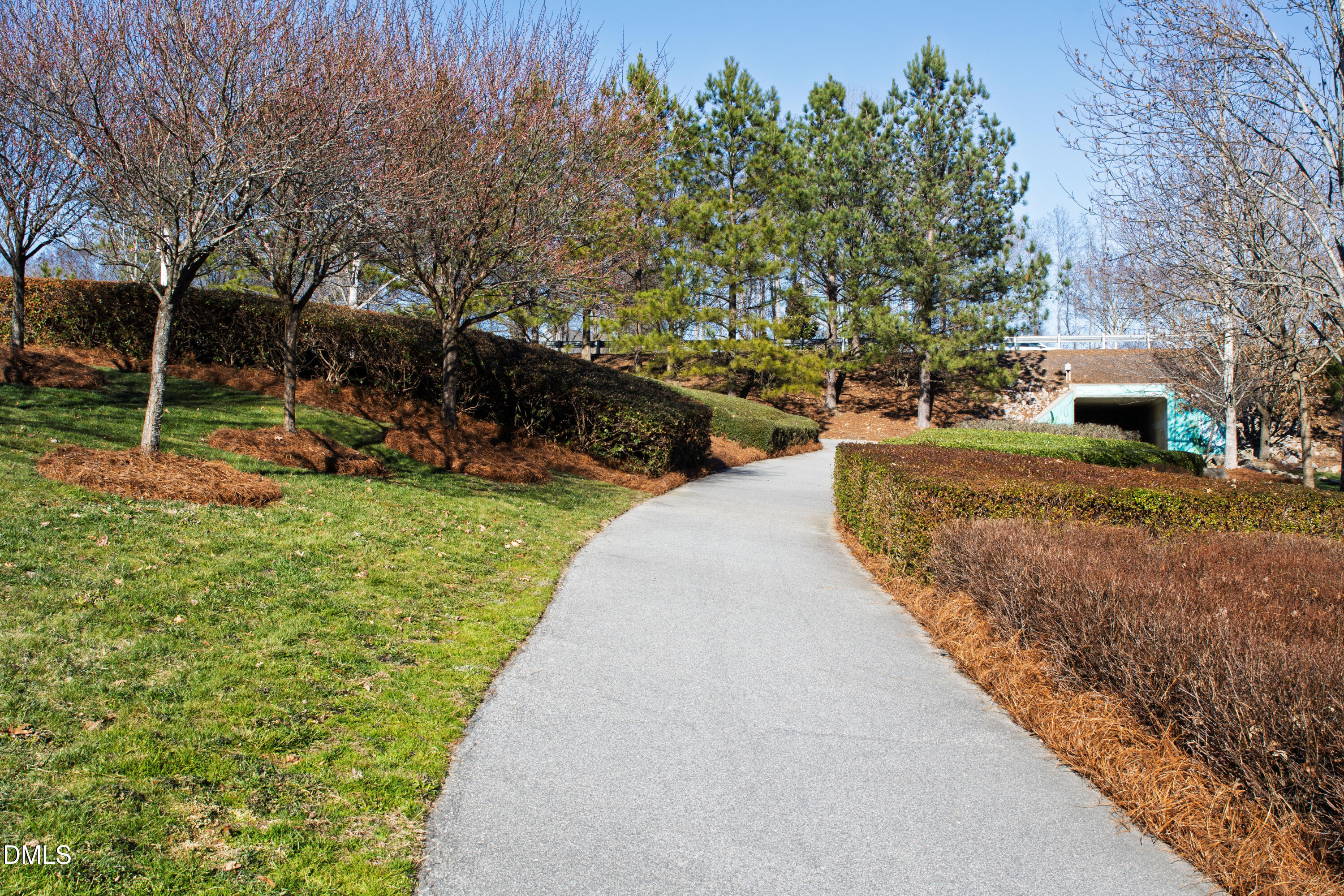 1509 Lone Prairie Drive