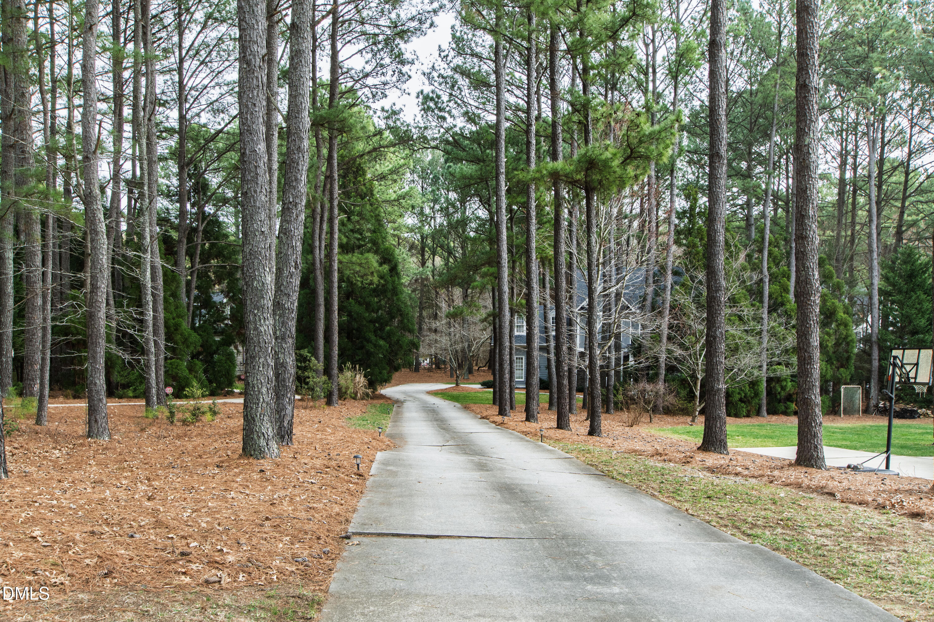 1532 Marshall Farm Street