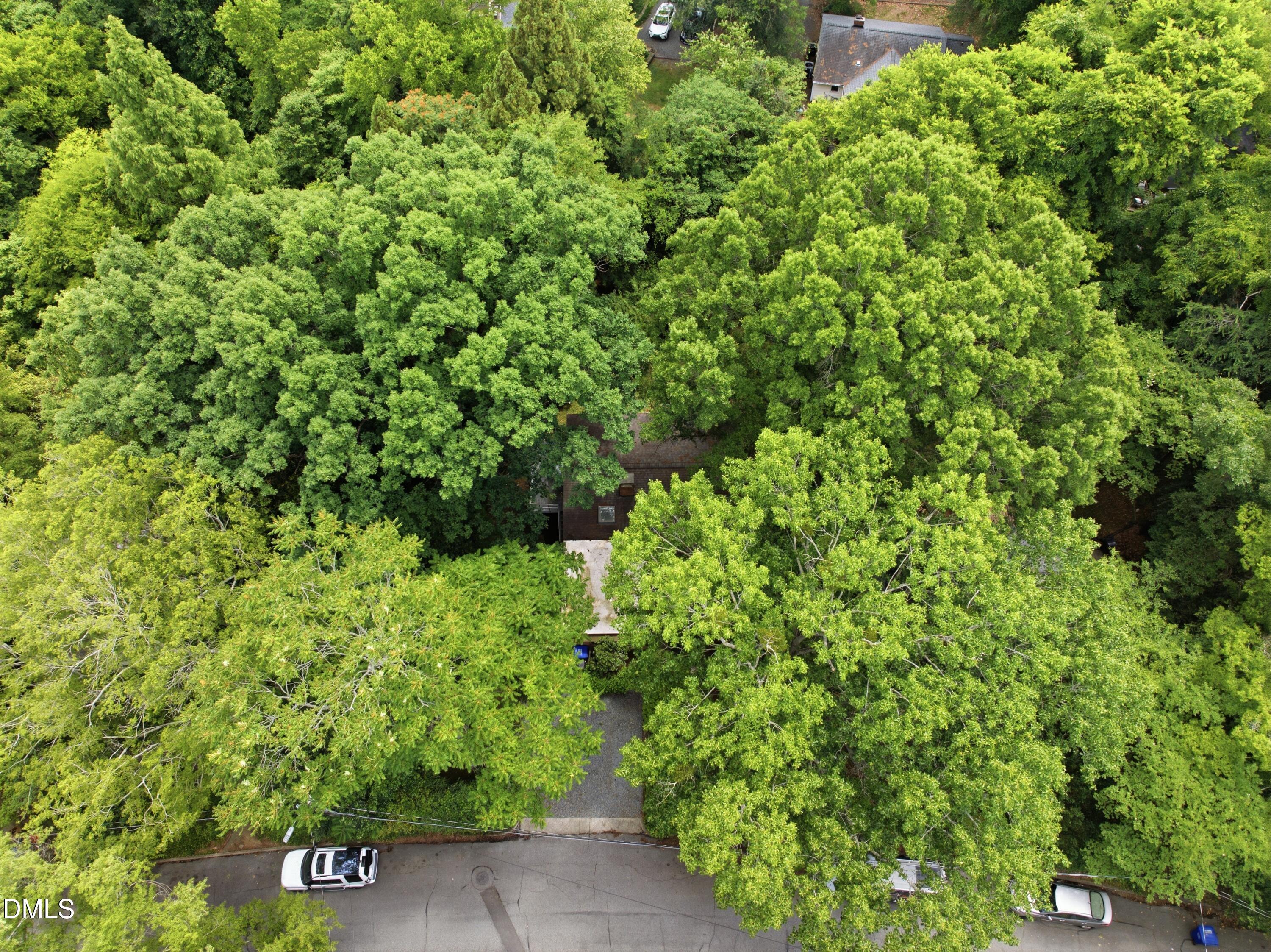 16 Davie Circle