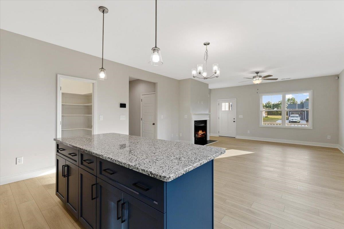 354 Placid Pond Drive
