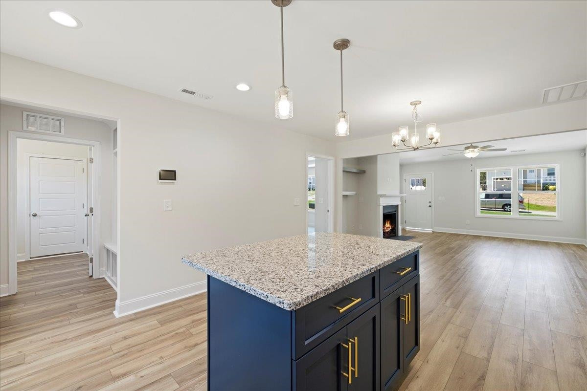 446 Placid Pond Drive