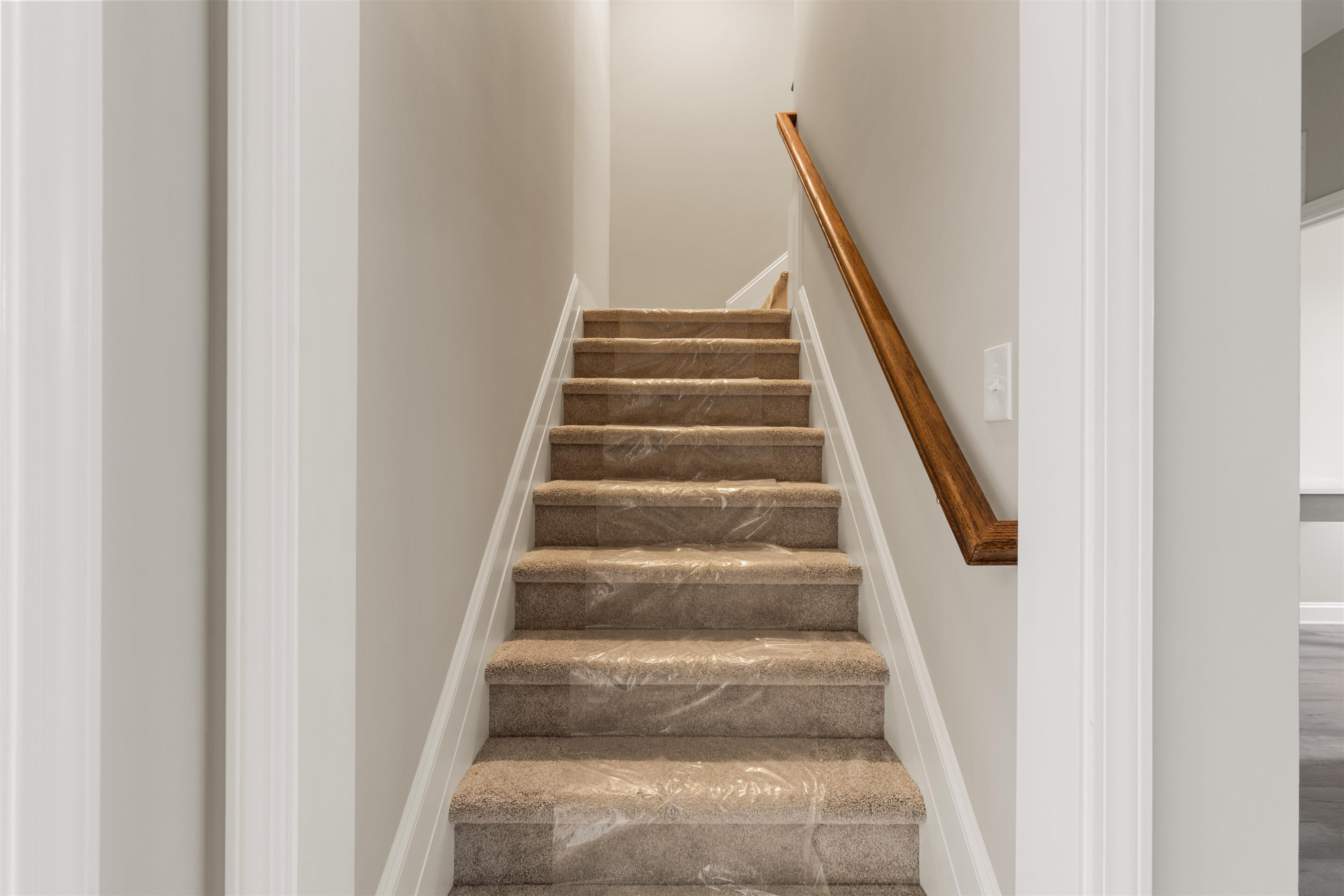3900 Alpha Court