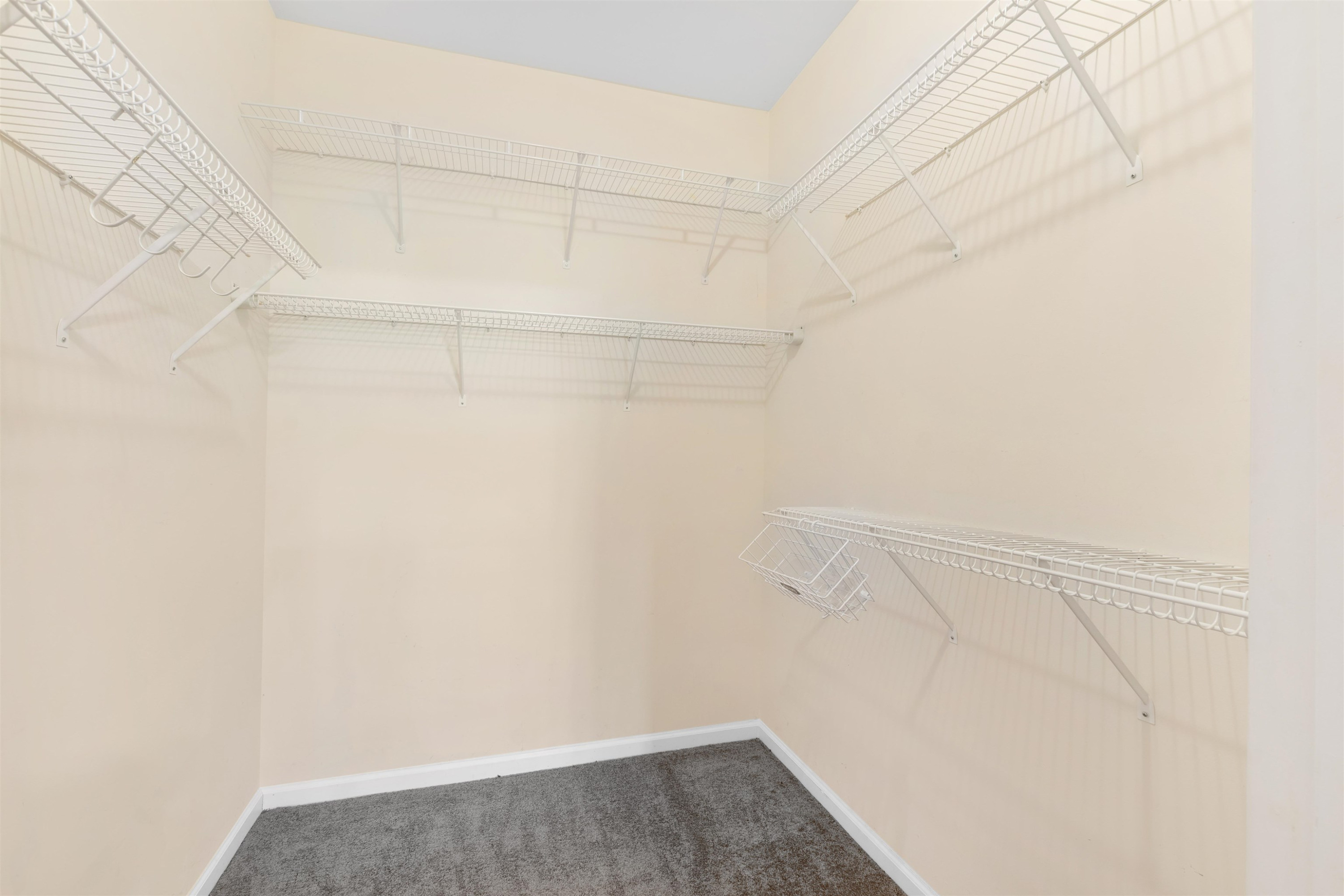 1713 Kudrow Lane Unit: 1713