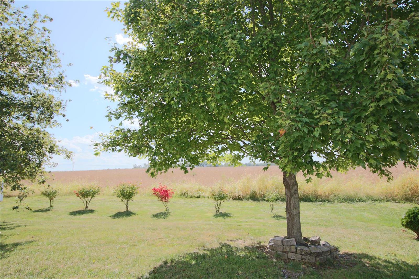 209 River Laurel Drive