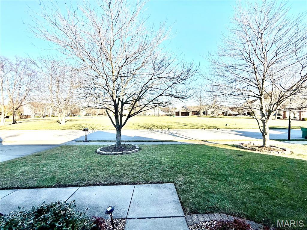 1229 Elisabeth Drive