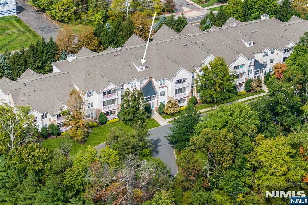 2304 Conrad Way