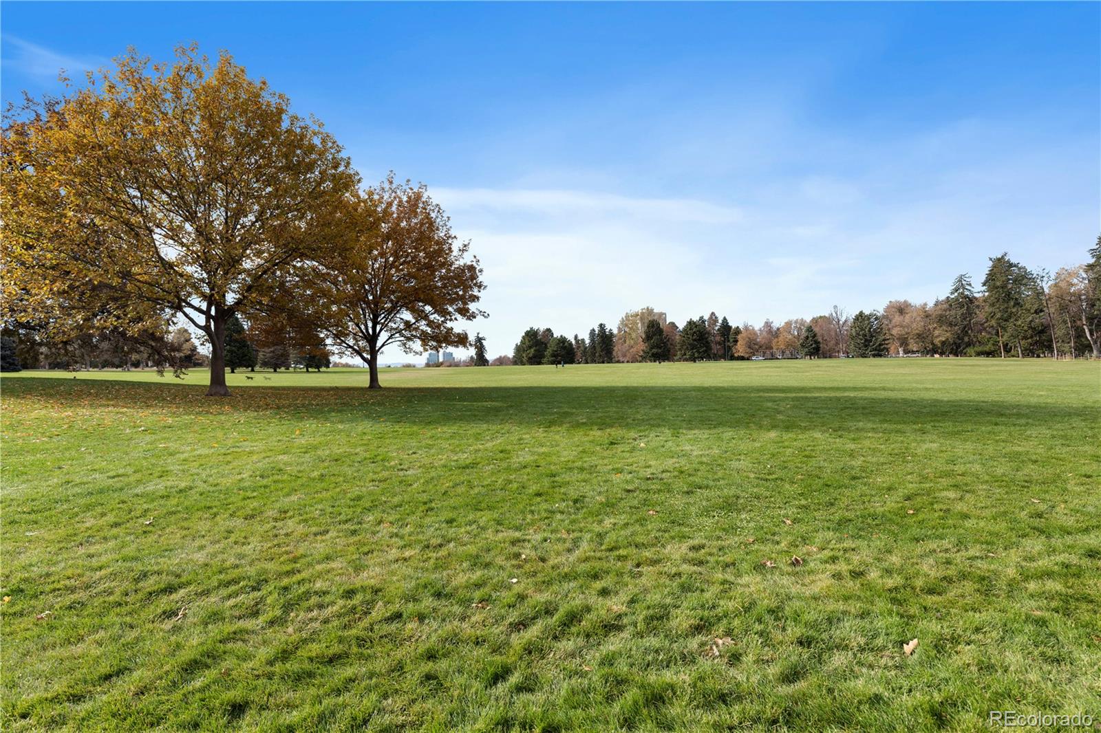 1265 N Race Street Unit: 505