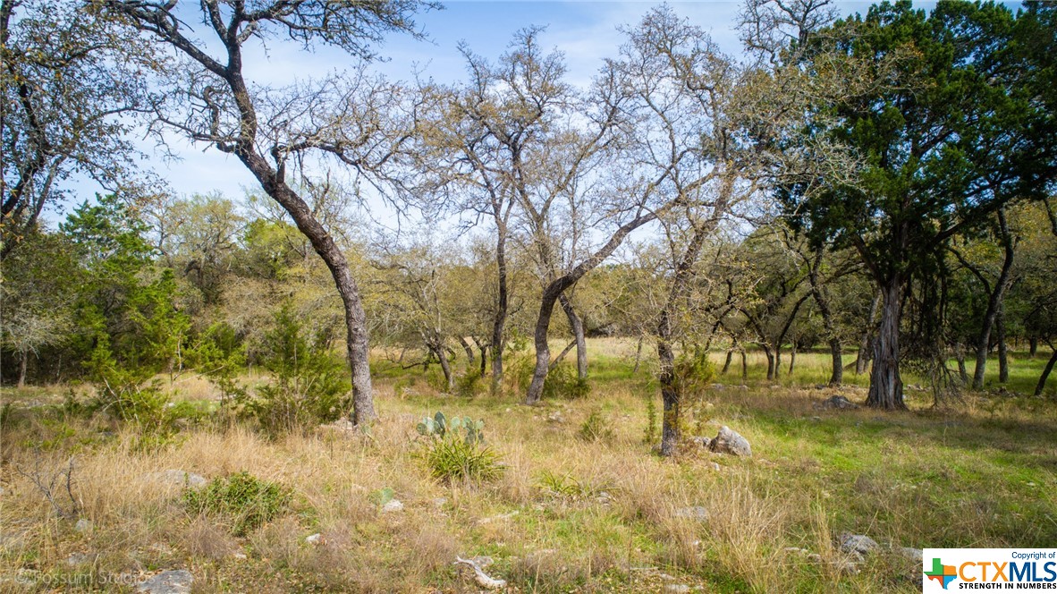 2526 Billabong Avenue