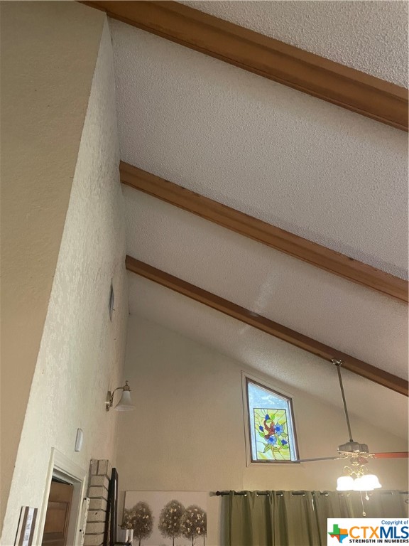 1133 Ashby Street 14