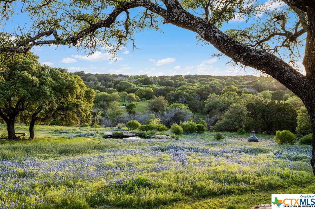 324 Lost Mountain Ranch Road