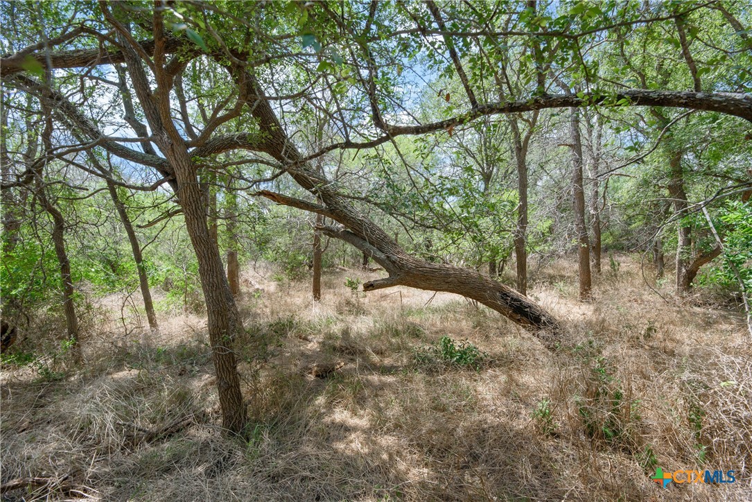 TBD Santa Clara Road