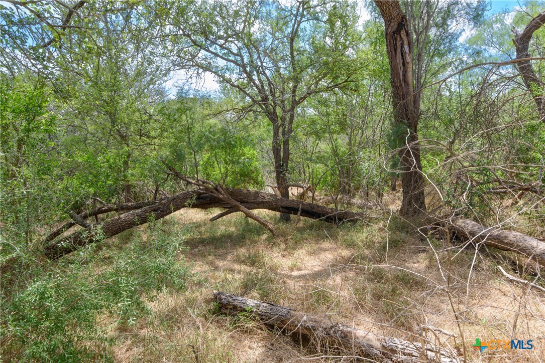 TBD Santa Clara Road