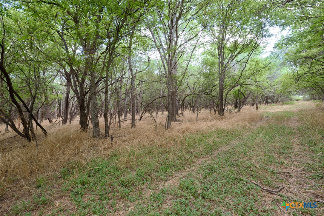 TBD S Santa Clara Road