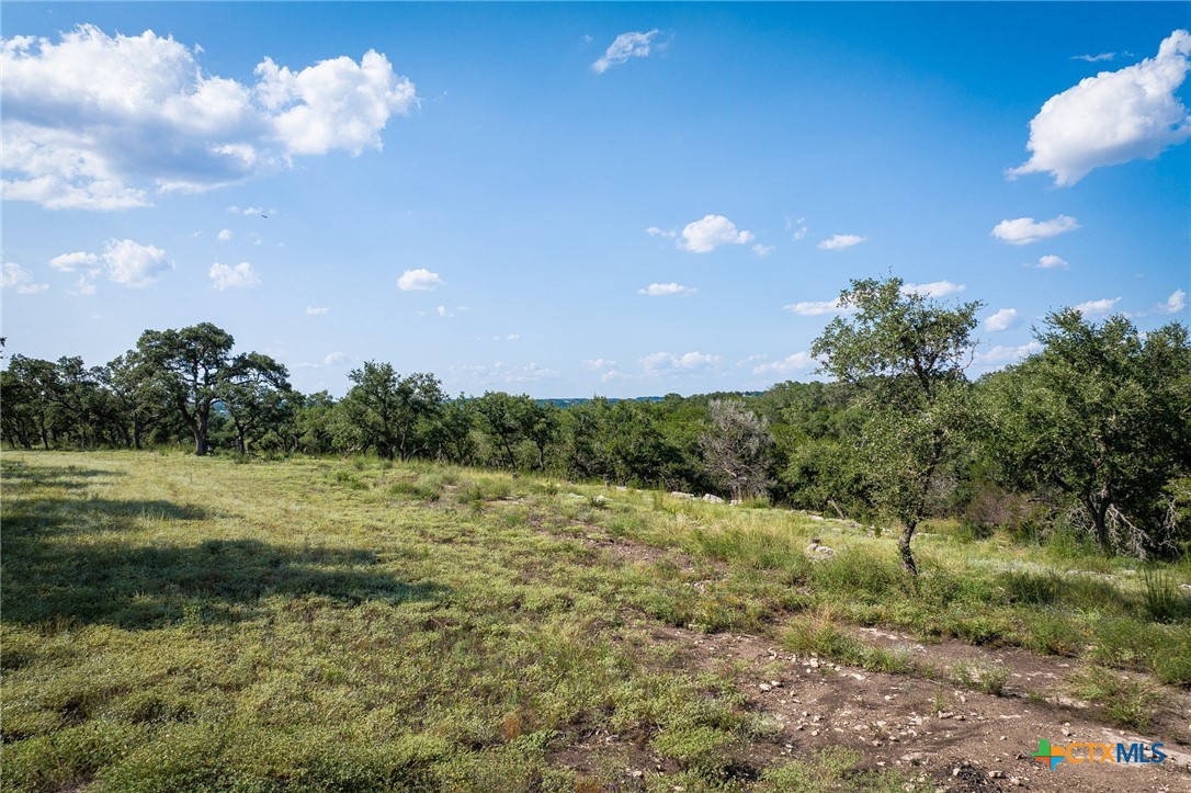 1914 Paradise Parkway