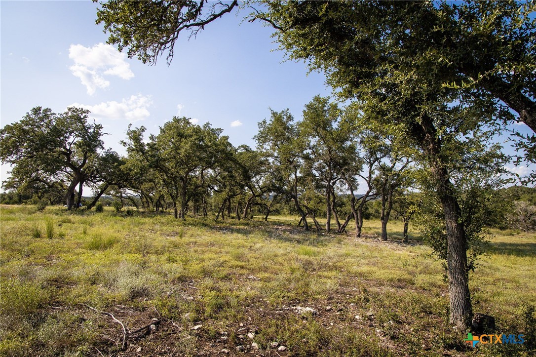 1914 Paradise Parkway