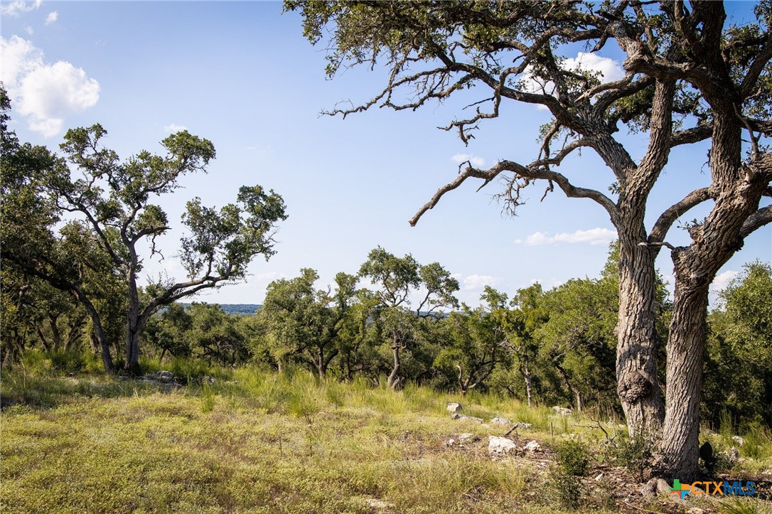 1914 Paradise Parkway