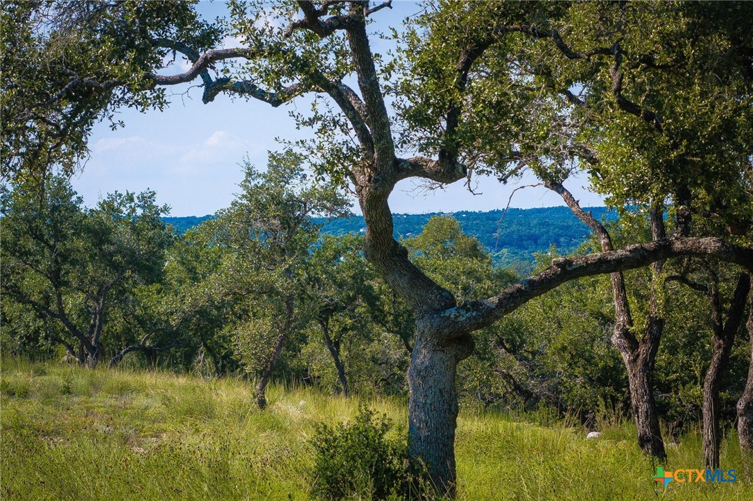 1914 Paradise Parkway