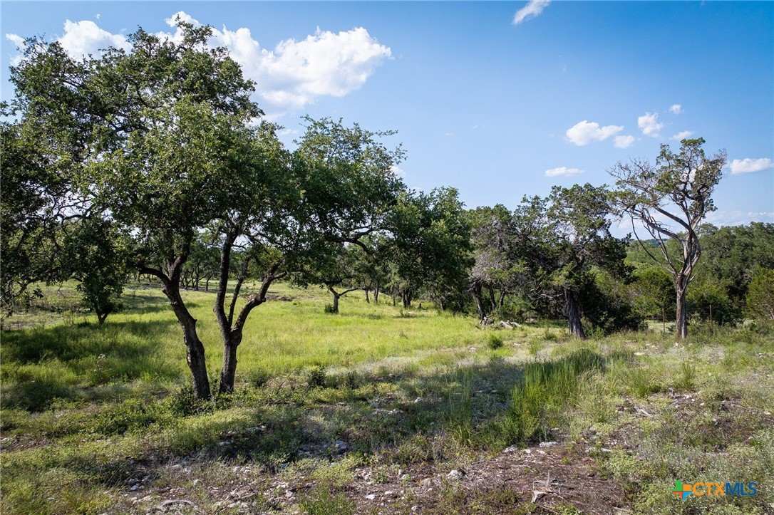 1914 Paradise Parkway