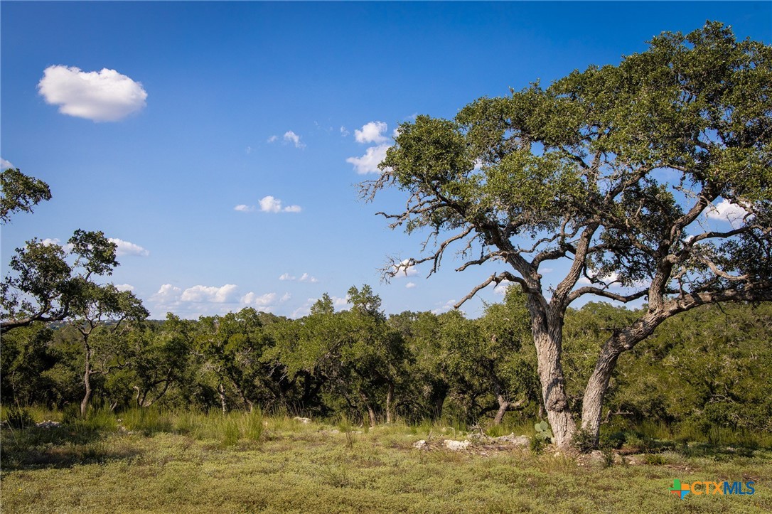 1914 Paradise Parkway