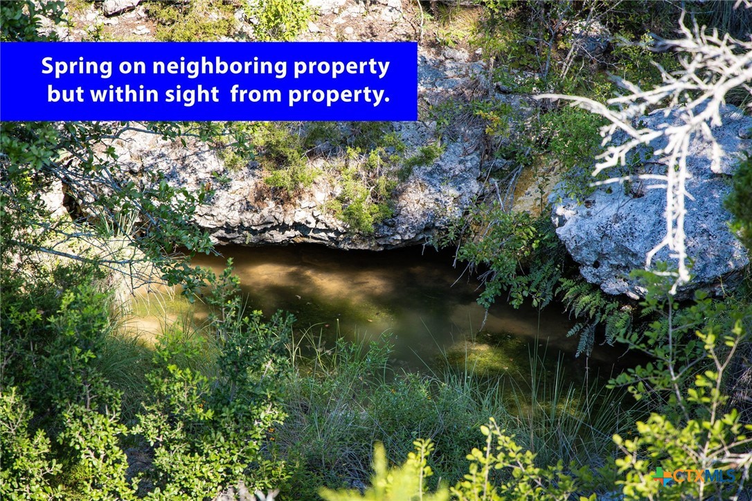 1914 Paradise Parkway