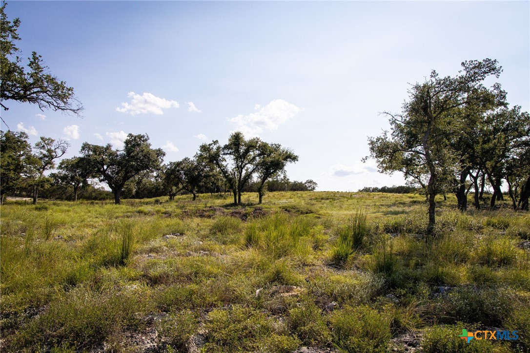 1914 Paradise Parkway