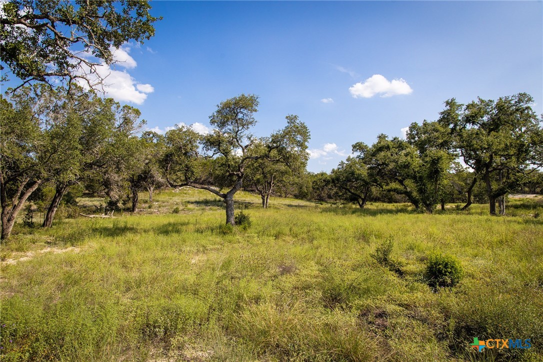 1914 Paradise Parkway