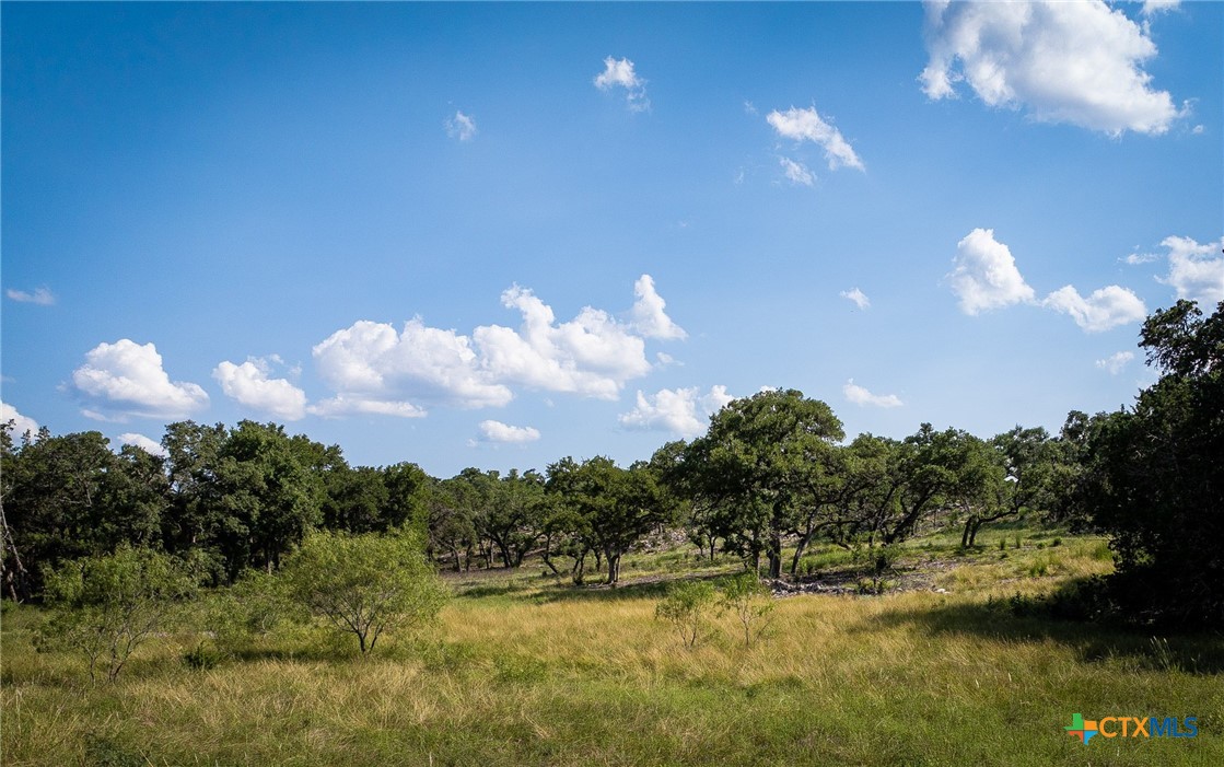 1918 Paradise Parkway