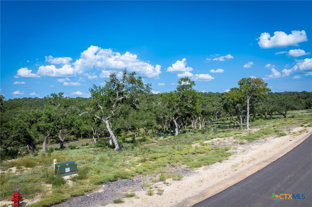 1918 Paradise Parkway
