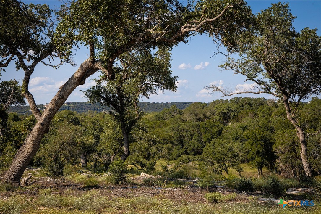 1918 Paradise Parkway